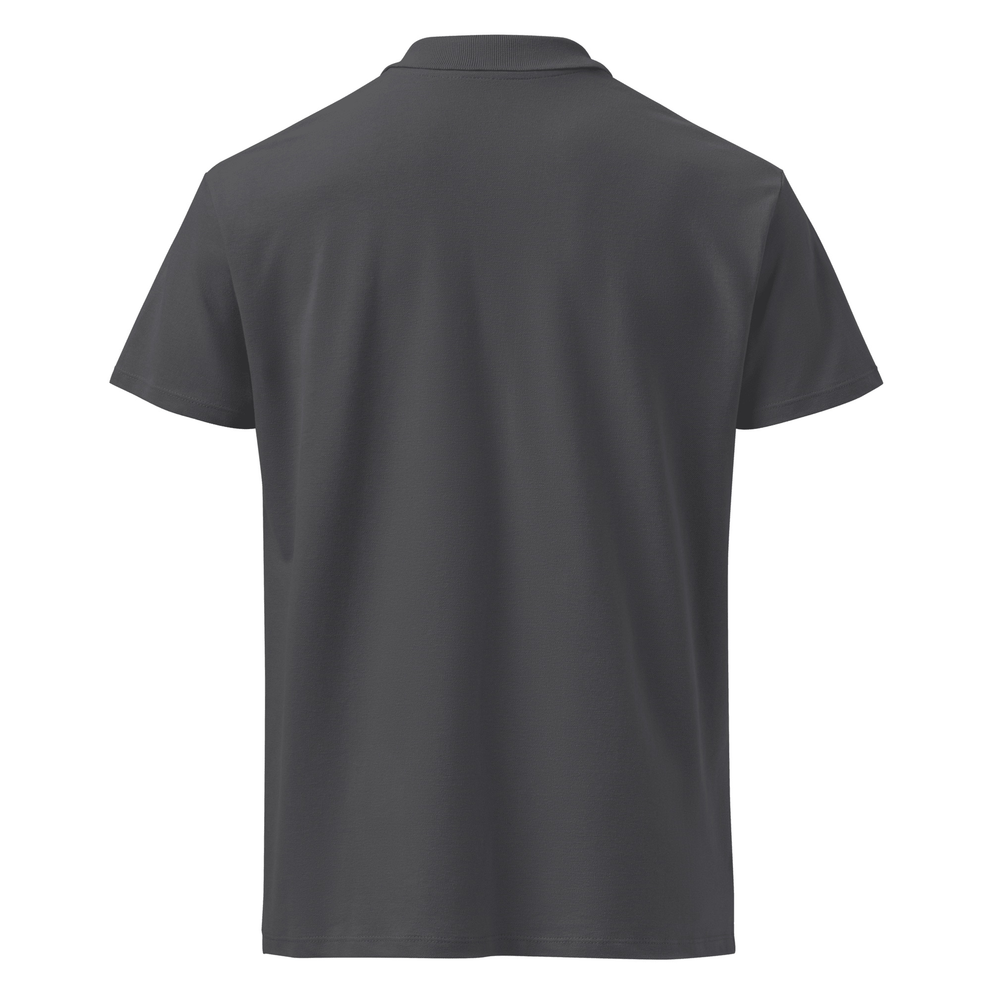 LATVIA | POLO SHIRT - UZVELC_KREKLU - DTFILM - 